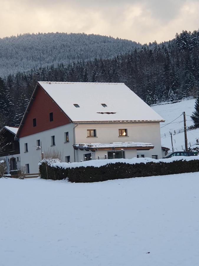 Appart Lievre 4 Etoiles Cornimont Exterior photo